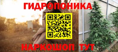 крисы Дмитров