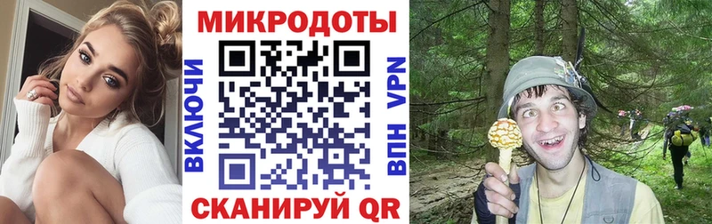 купить   МЕГА зеркало  Псилоцибиновые грибы MAGIC MUSHROOMS  Благовещенск 